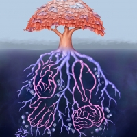 Infographic of a tree and root system is a representation of psoriatic disease as an immune-mediated inflammatory disease with underlying systemic inflammation contributing to various comorbidities